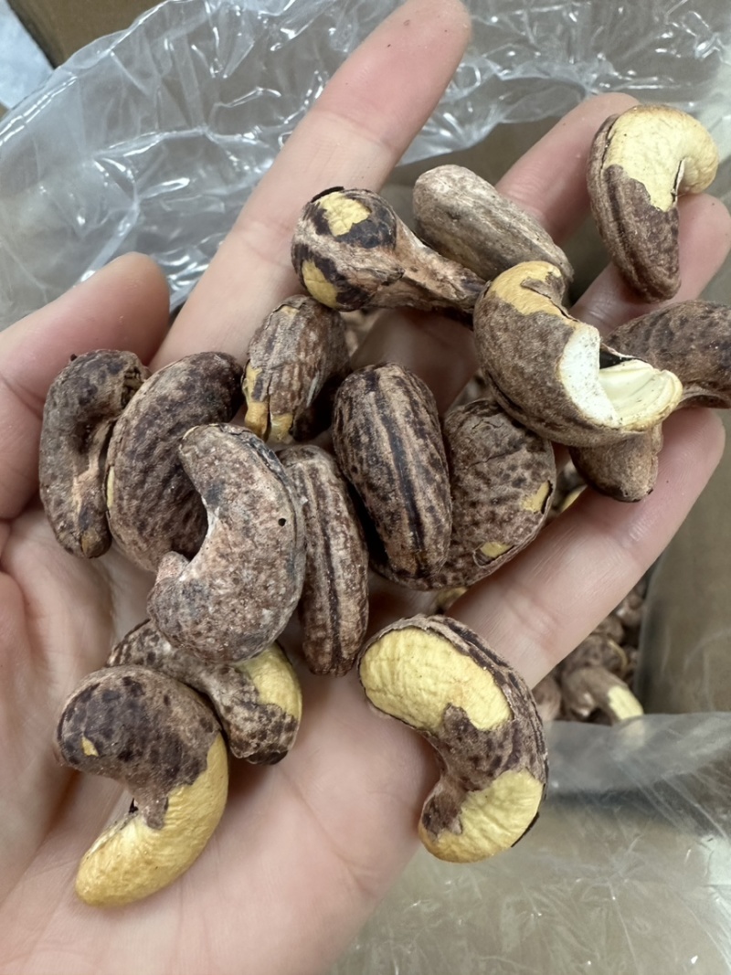 170大颗粒腰果大量现货供应