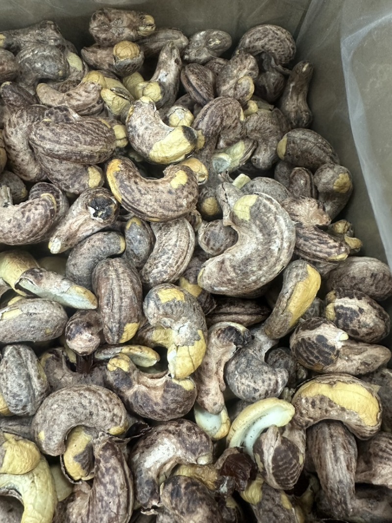 170大颗粒腰果大量现货供应