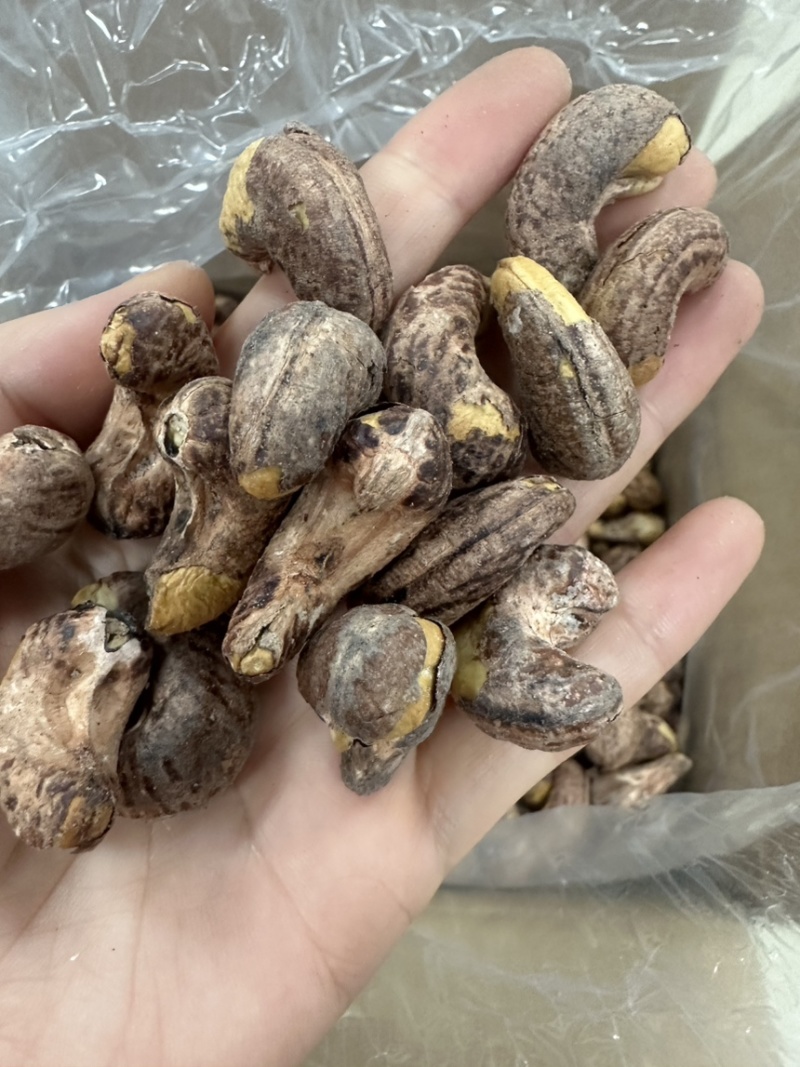 170大颗粒腰果大量现货供应