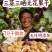 三蒸三晒无花果干独立包装一件代发批发