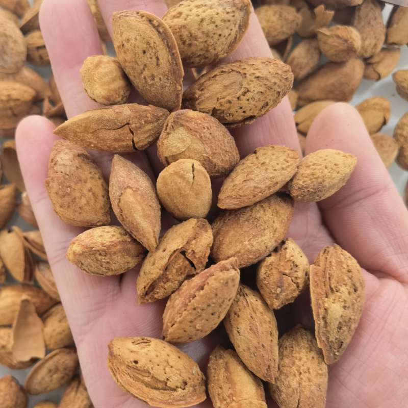 新疆纸皮巴旦木奶香味原味大量现货供应