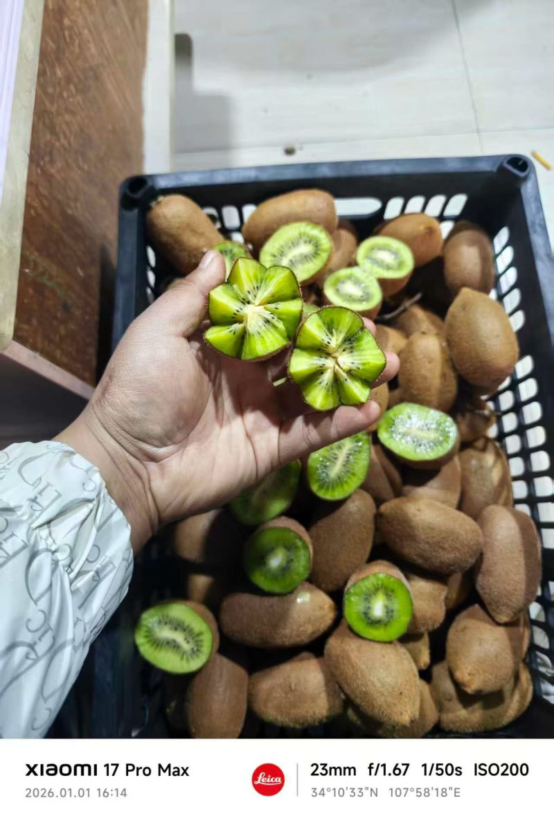绿心猕猴桃