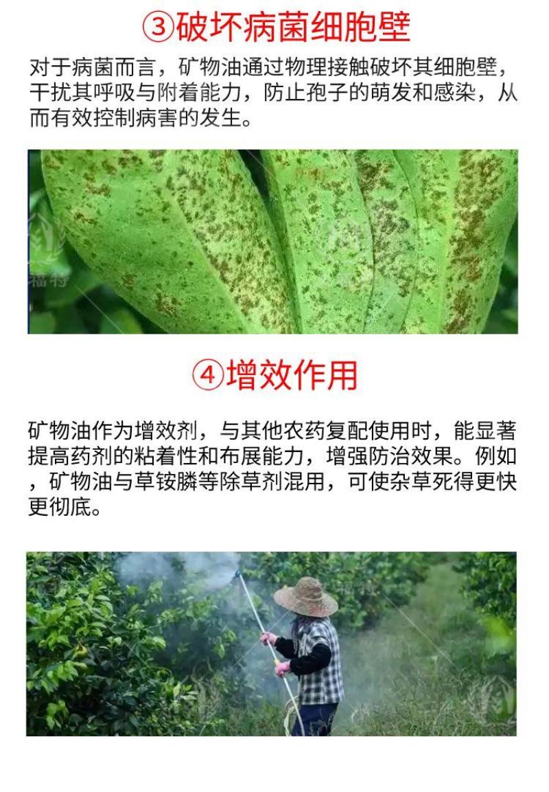 果园清园专用矿物油红蜘蛛蚧壳虫杀虫杀卵杀菌全面清园