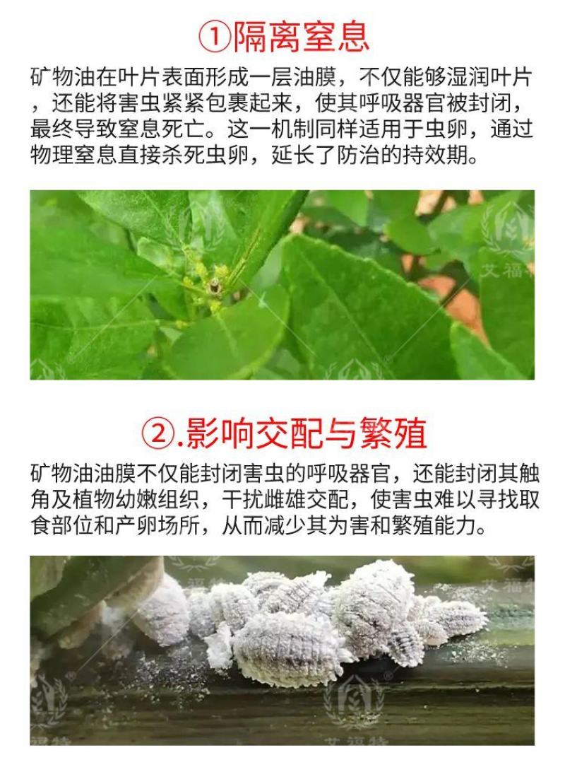 果园清园专用矿物油红蜘蛛蚧壳虫杀虫杀卵杀菌全面清园