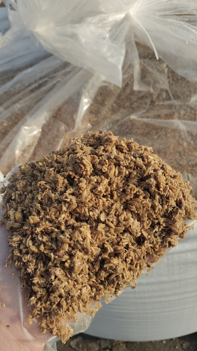 高蛋白，水分低，好储存。