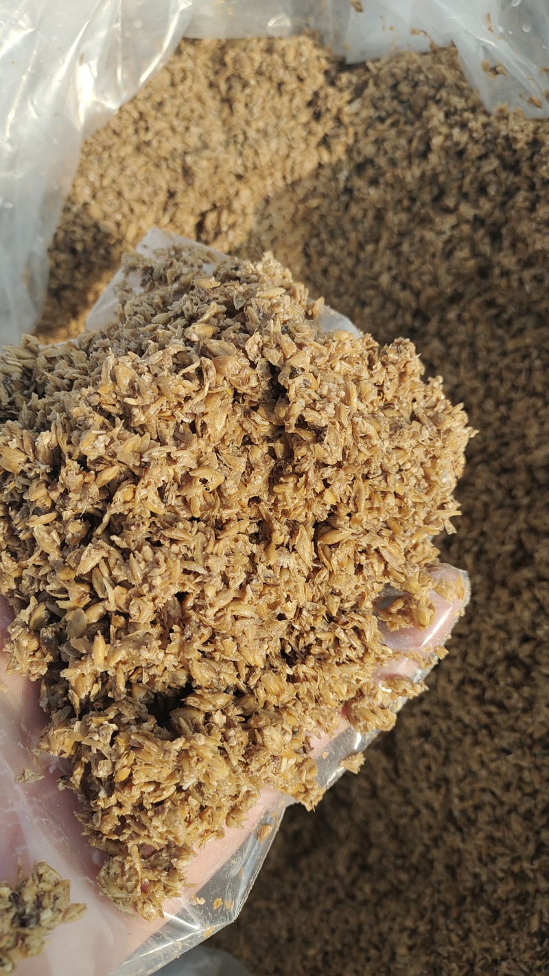 高蛋白，水分低，好储存。