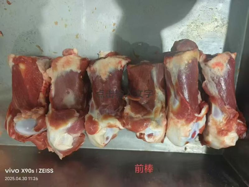 滩羊满肉羊棒骨