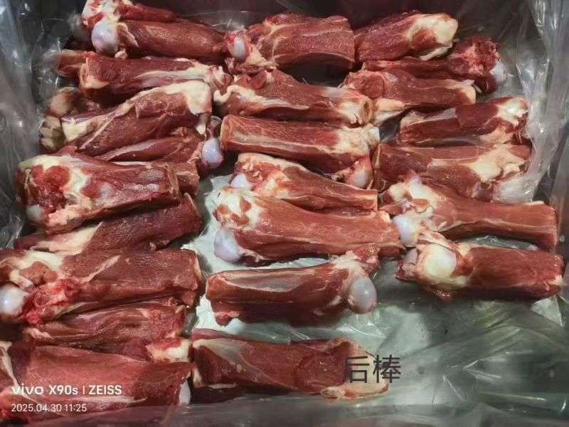 滩羊满肉羊棒骨