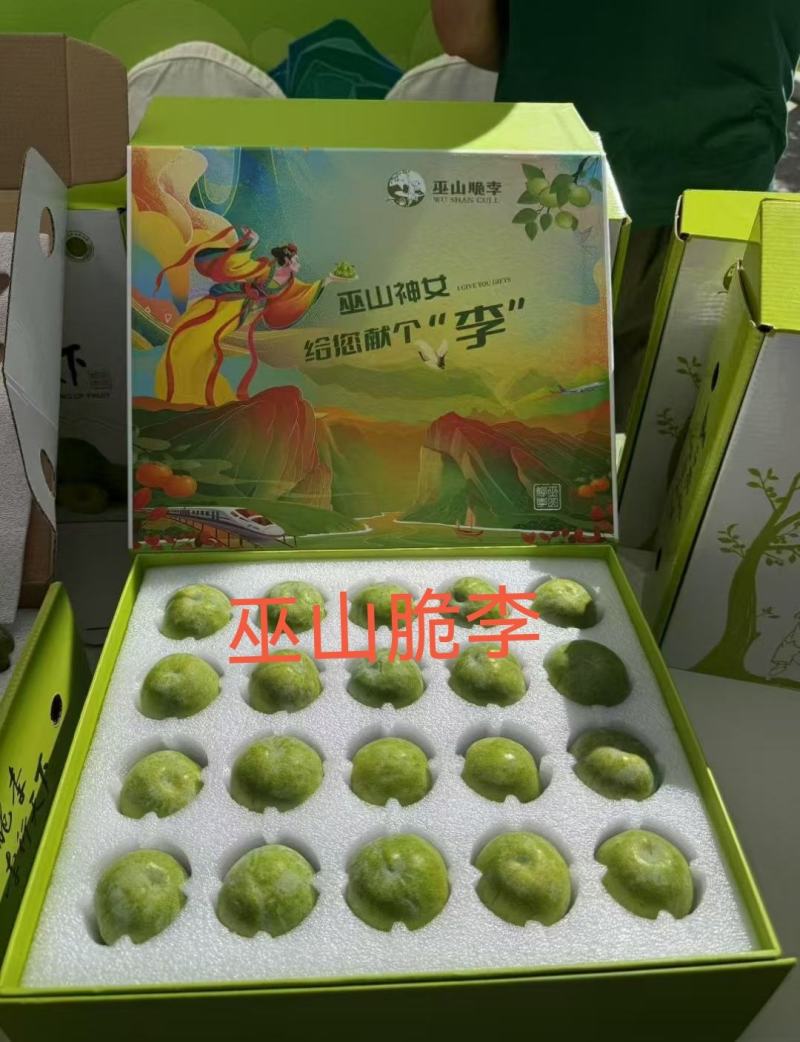 巫山脆李苗金秋晚脆李苗酥脆味甜中晚熟李特丰产半离核