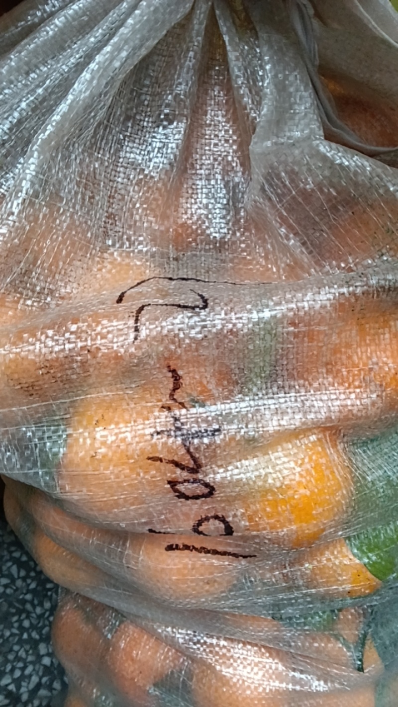 麻阳冰糖橙自家果园包装车不上车，六毛钱一斤，欢迎老板说这里拉
