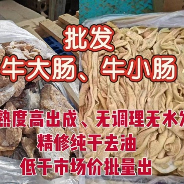 精品牛小肠