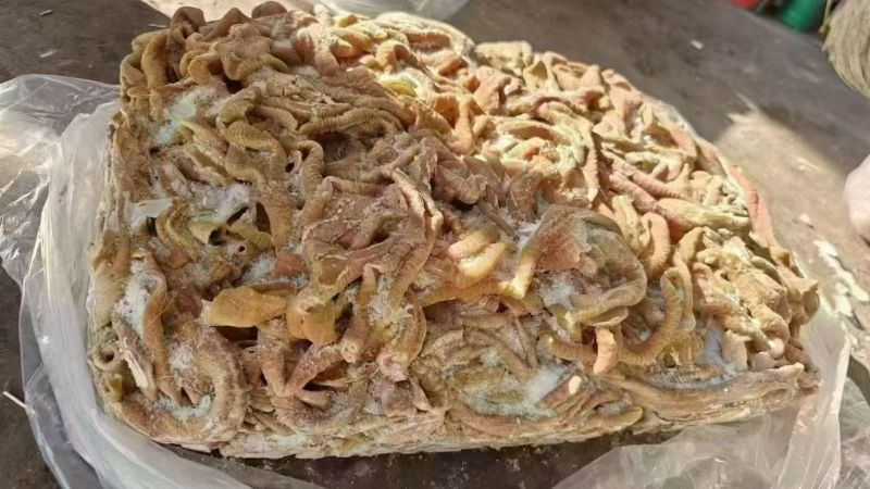 精品牛小肠