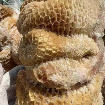精品牛金肚