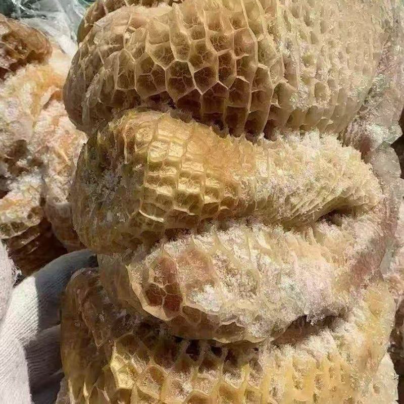 精品牛金肚