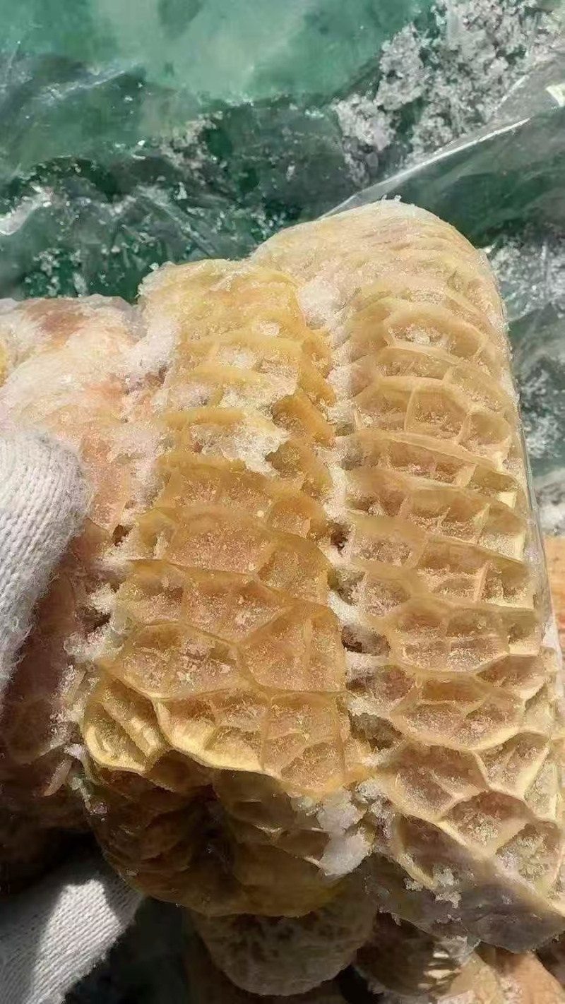 精品牛金肚