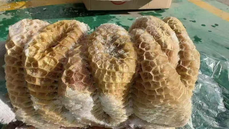精品牛金肚