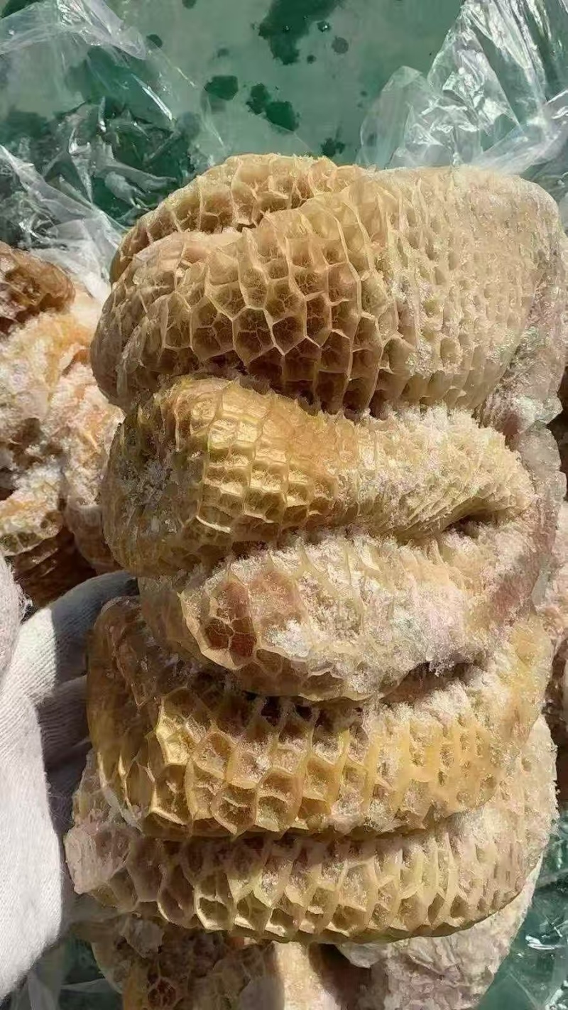 精品牛金肚