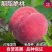 果园直发桃树苗新品种特早熟胭脂脆桃颜玉四号桃包对版成活率