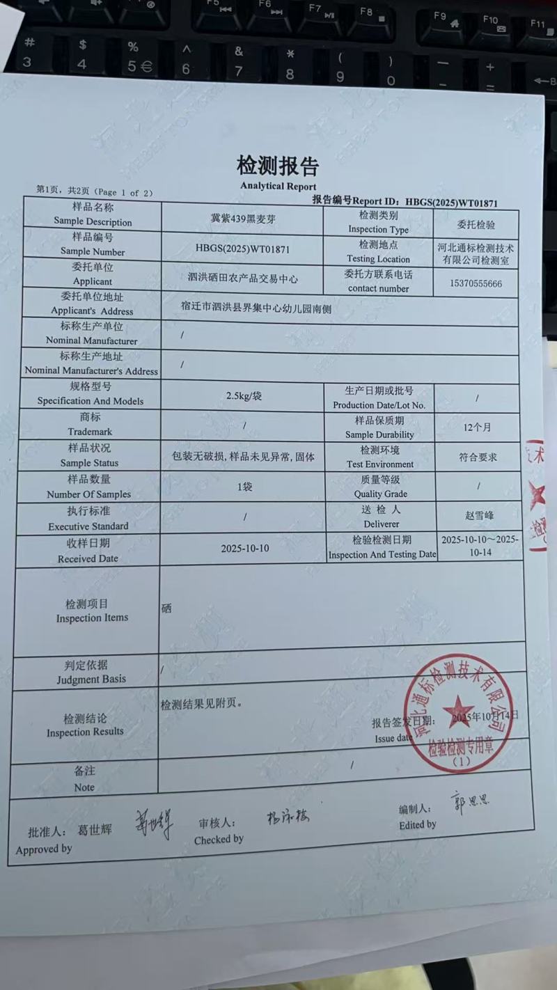 高硒冀紫439黑小麦清水泡发麦芽硒含量11.3毫克