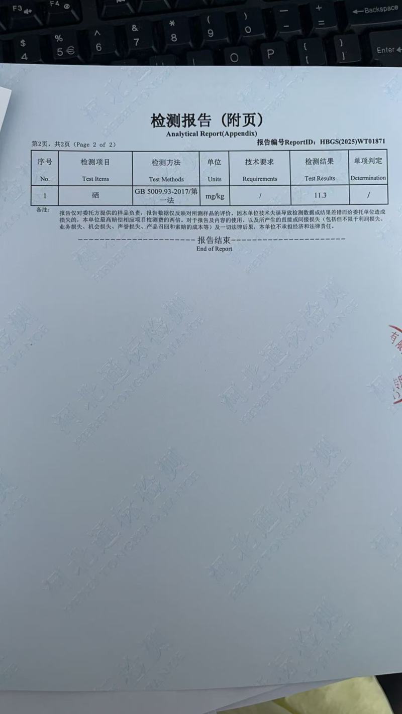 高硒冀紫439黑小麦清水泡发麦芽硒含量11.3毫克