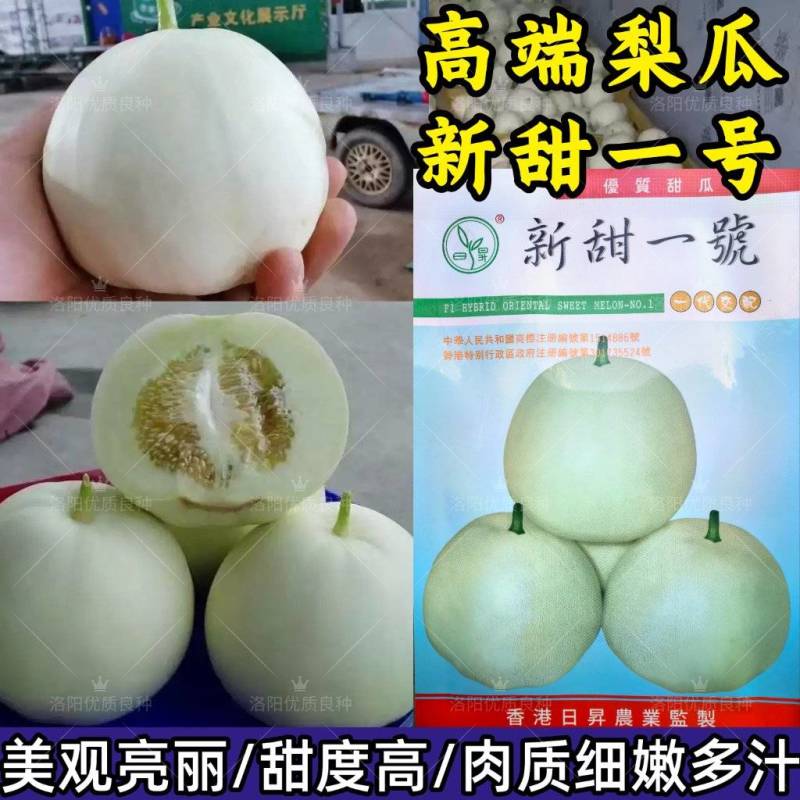 新甜一号奶香玉甜瓜种子白黄皮薄皮白肉高甜圆梨型香瓜甜瓜种