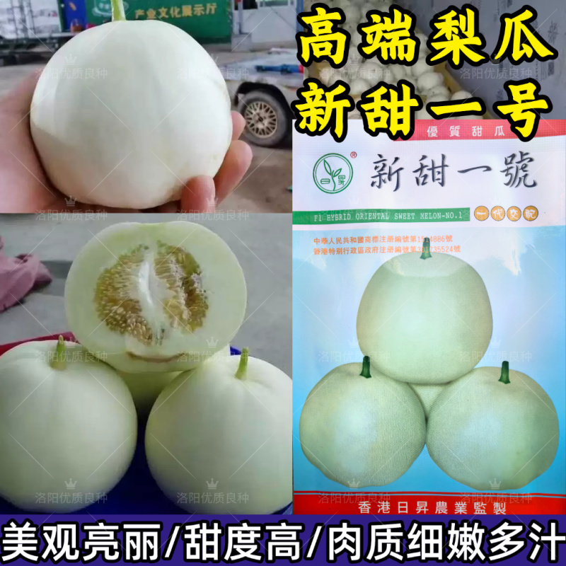 新甜一号奶香玉甜瓜种子白黄皮薄皮白肉高甜圆梨型香瓜甜瓜种