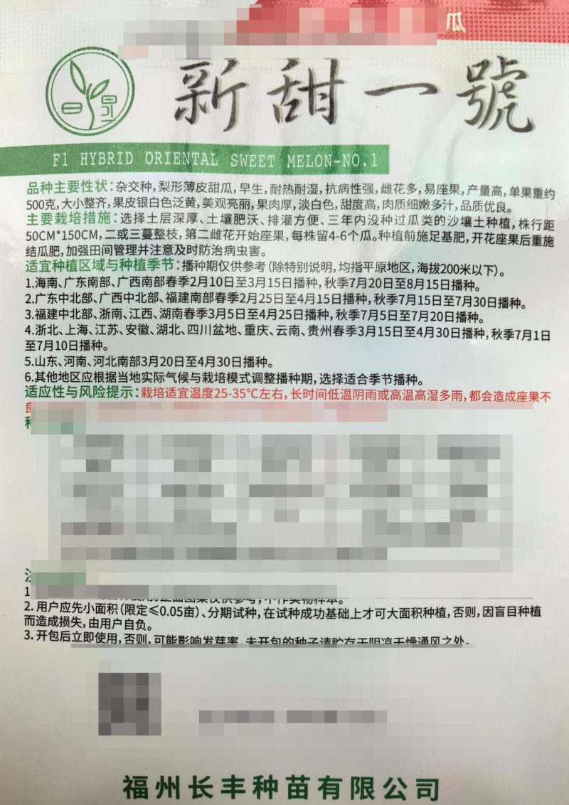新甜一号奶香玉甜瓜种子白黄皮薄皮白肉高甜圆梨型香瓜甜瓜种