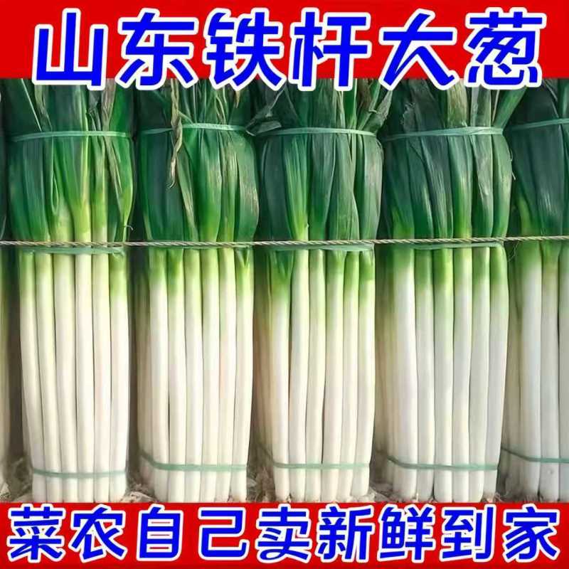 长白大葱，产地直发，全国发货，欢迎进店沟通，物美价廉。