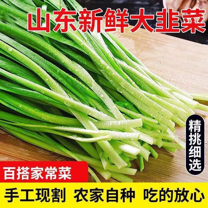 山东韭菜，产地直发，欢迎进店沟通，全国发货，新鲜美味。