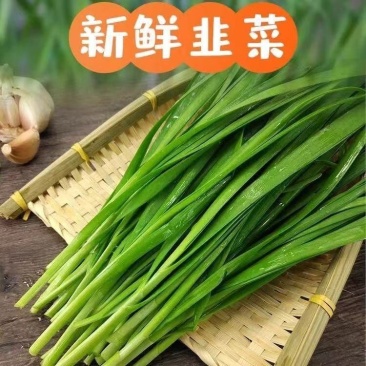 山东韭菜，产地直发，欢迎进店沟通，全国发货，新鲜美味。