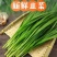 山东韭菜，产地直发，欢迎进店沟通，全国发货，新鲜美味。