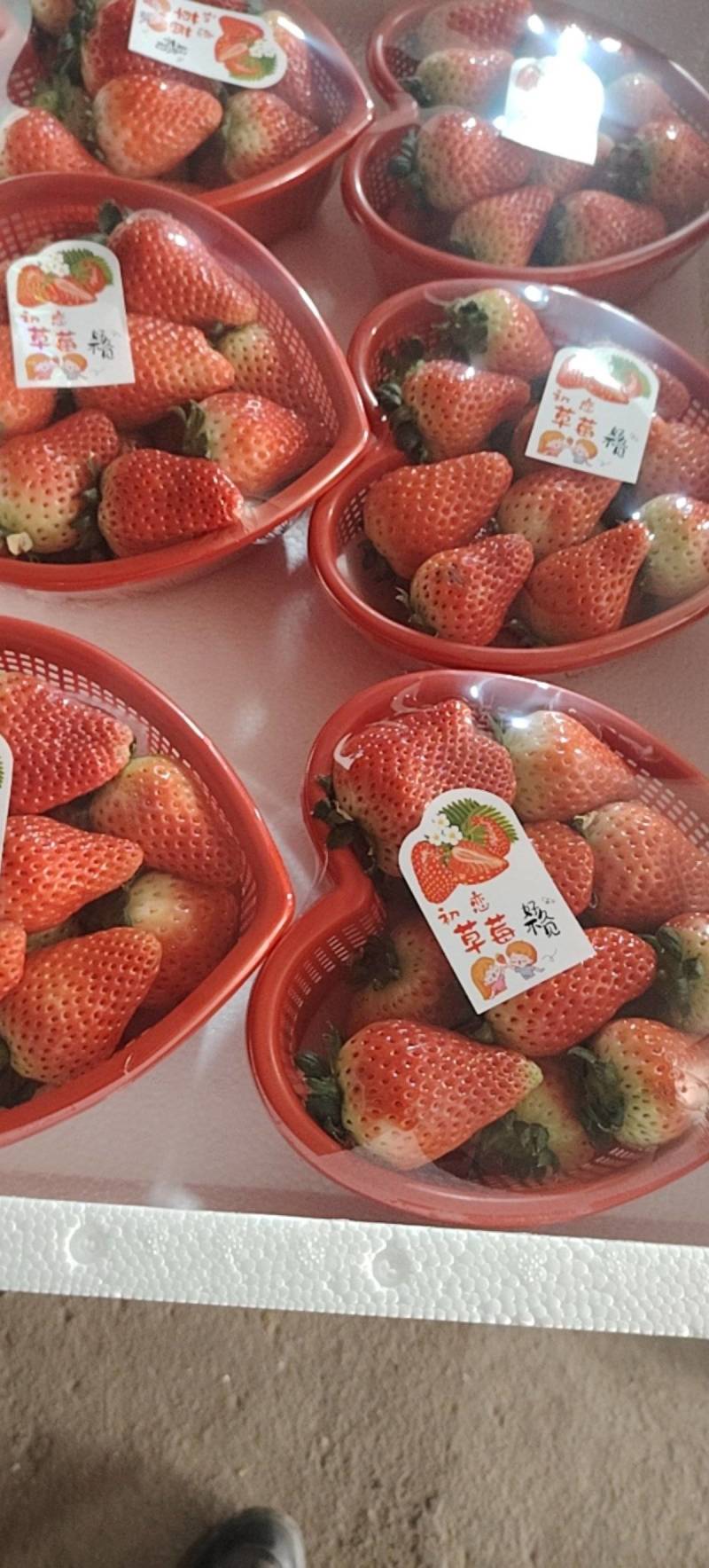 奶油草莓邳州港上草莓妙香草莓前湖草莓市场江苏徐州