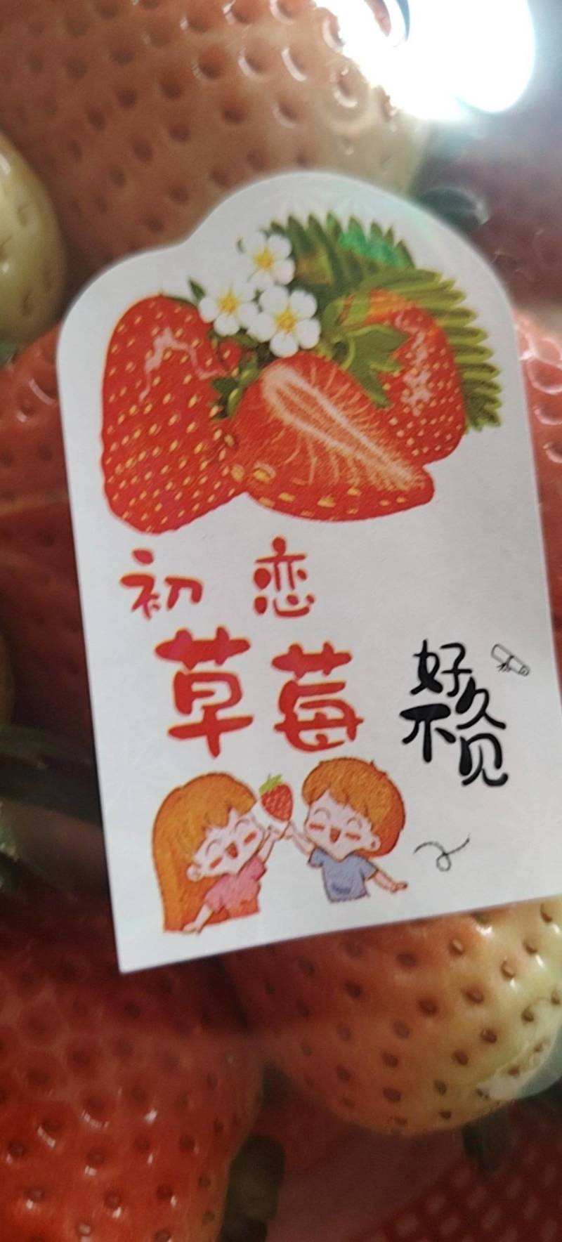 奶油草莓邳州港上草莓妙香草莓前湖草莓市场江苏徐州