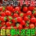 广西露天圣女果新鲜小番茄小西红柿水果一件代发代办