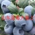 精品蓝莓云雀公爵等蓝莓品种齐全对接一条龙