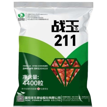 战玉211玉米种子国审白轴玉米种