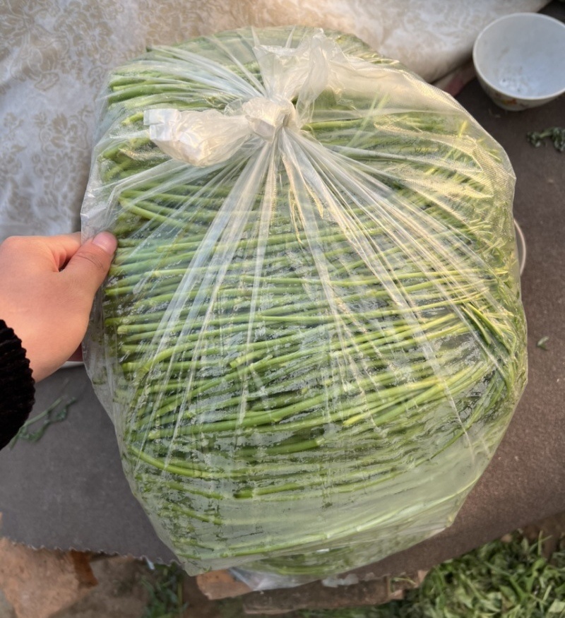 【青白芦蒿】江苏芦蒿/大棚芦蒿/基地常年供应/可全国发货