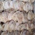 A6精品越南鱿鱼干，干度放心，非常漂亮。外观美丽，口感好