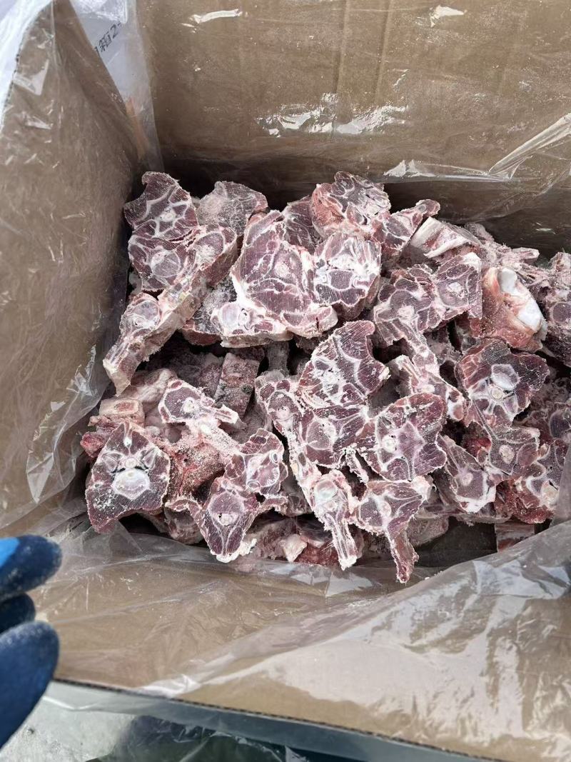 胡羊羊蝎子