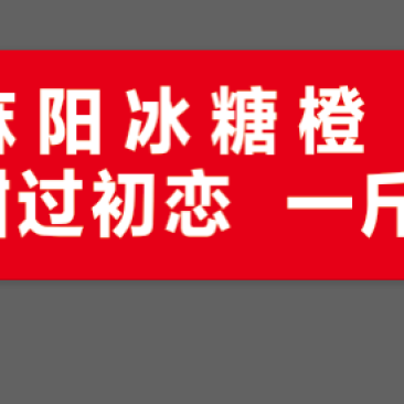货车司机湖南麻阳直采冰糖橙大量批发好吃不贵