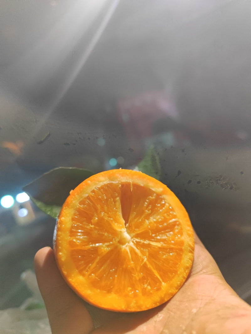 货车司机湖南麻阳直采冰糖橙大量批发好吃不贵
