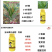 史丹利水溶肥