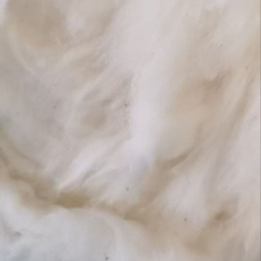 1.2级籽棉！山东德州对接棉纱工厂，棉被工厂，实地考察。
