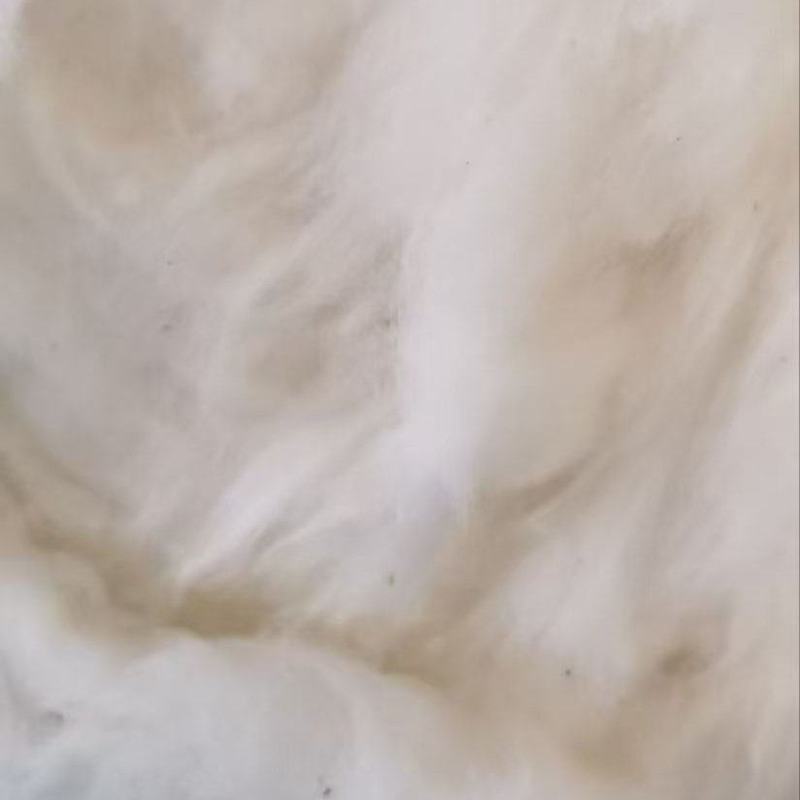 1.2级籽棉！山东德州对接棉纱工厂，棉被工厂，实地考察。