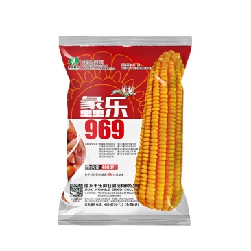 国投丰乐蠡乐969白轴稀植棒大4000粒/袋适合春播夏播