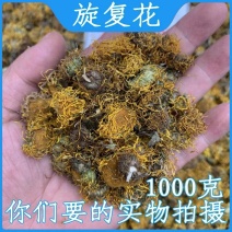 旋覆花野生中药材旋覆花新货无硫保质保量诚信经营