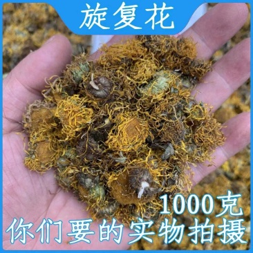 旋覆花野生中药材旋覆花新货无硫保质保量诚信经营