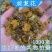 旋覆花野生中药材旋覆花新货无硫保质保量诚信经营