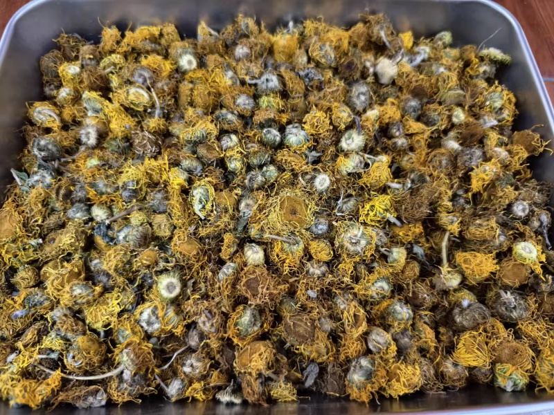 旋覆花野生中药材旋覆花新货无硫保质保量诚信经营