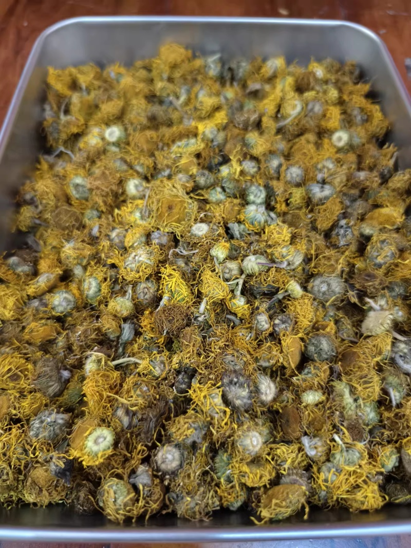 旋覆花野生中药材旋覆花新货无硫保质保量诚信经营